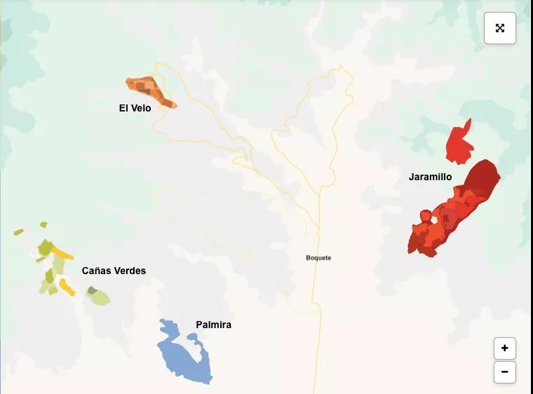 Analysis of Panama Finca Esmeralda Geisha Beans: A Complete Guide to the Differences and Grading of Red, Green, and Blue Labels