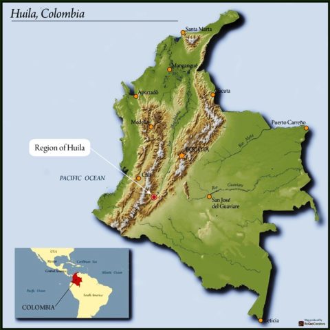Flavor Profile of Colombian Huila Washed Beans | A Nutty and Chocolatey Must-Try for Pour Over Beginners