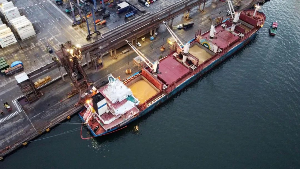 Brazilian green coffee beans now shipped by bulk cargo vessel！ How to ensure quality stability and flavor preservation?