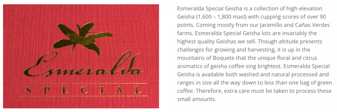 Unveiling the Grading of Finca El Velo Geisha Coffee: What’s the Difference Between Auction, Red, Green, and Blue Labels? How to Choose?