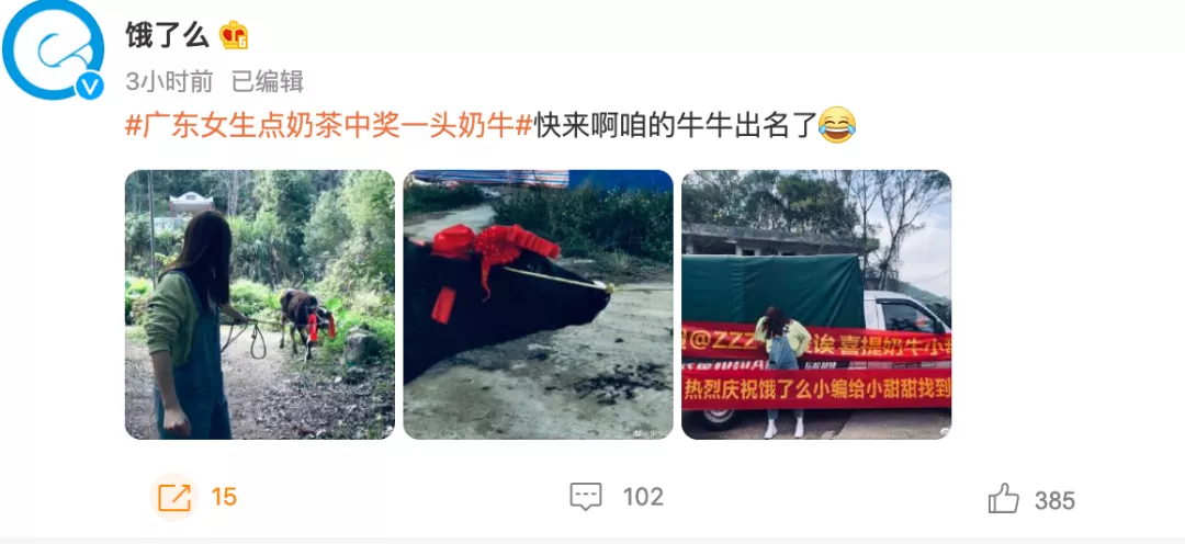 Takeaway platform surprises with cow giveaway: Marketing strategy behind 140,000 bubble tea winners