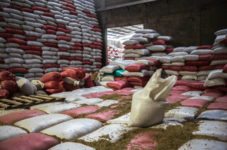 Brazilian green coffee beans now shipped by bulk cargo vessel！ How to ensure quality stability and flavor preservation?