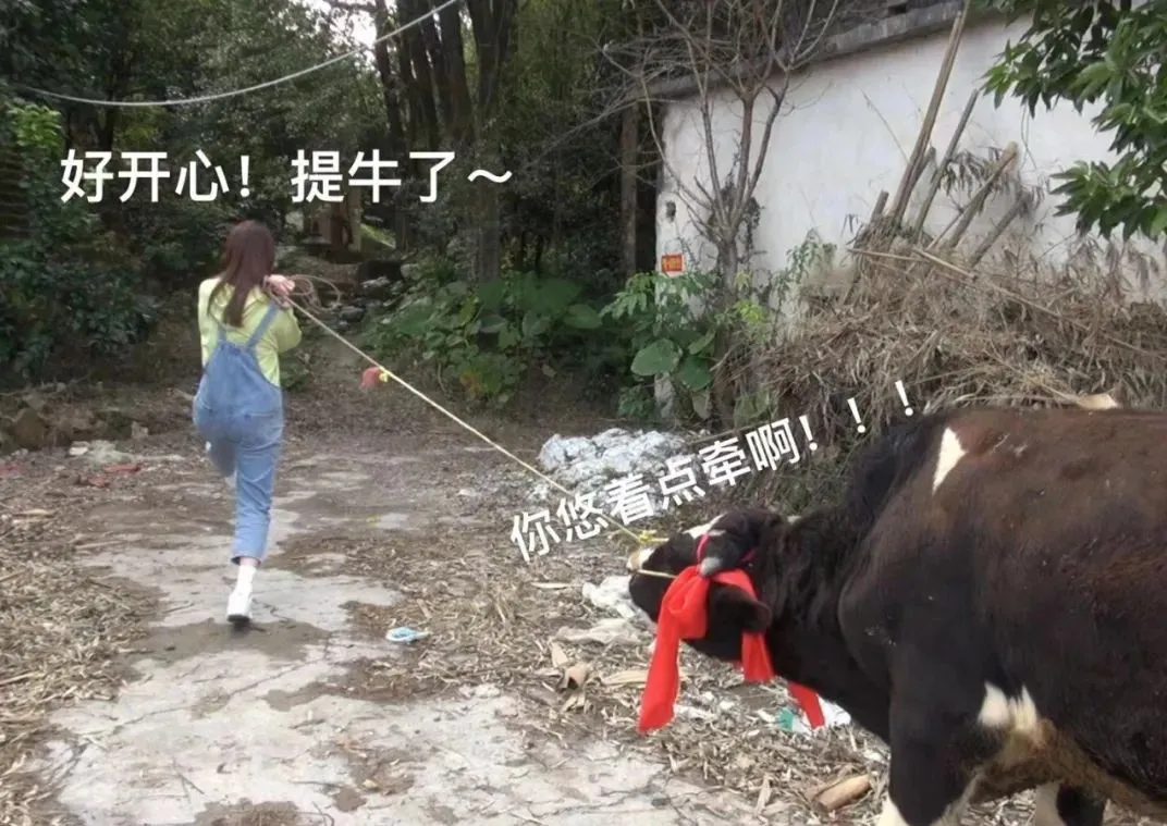 Takeaway platform surprises with cow giveaway: Marketing strategy behind 140,000 bubble tea winners