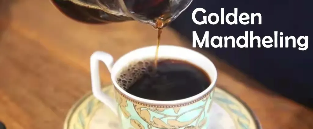 Analysis of the First Indonesian COE (Cup of Excellence) Results: Flavor Shifts and Specialty Trends in 26 Winning Coffees