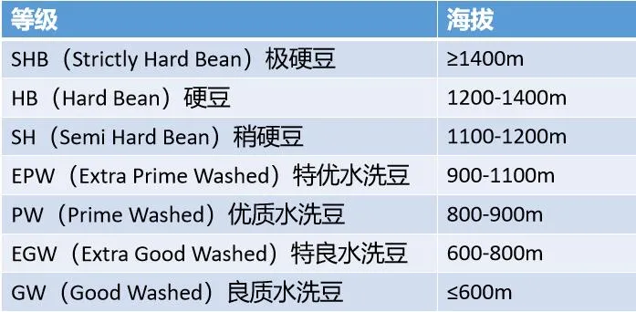 The Big Reveal of Green Coffee Bean Grading: A Quality Analysis from Kenya AA to Blue Mountain No. 1