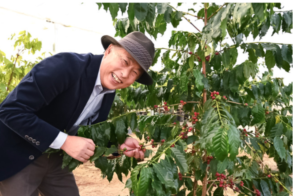 Japan's first greenhouse-grown coffee beans sell out in pre-sale—why are they priced at 1,500 yuan per kilogram?