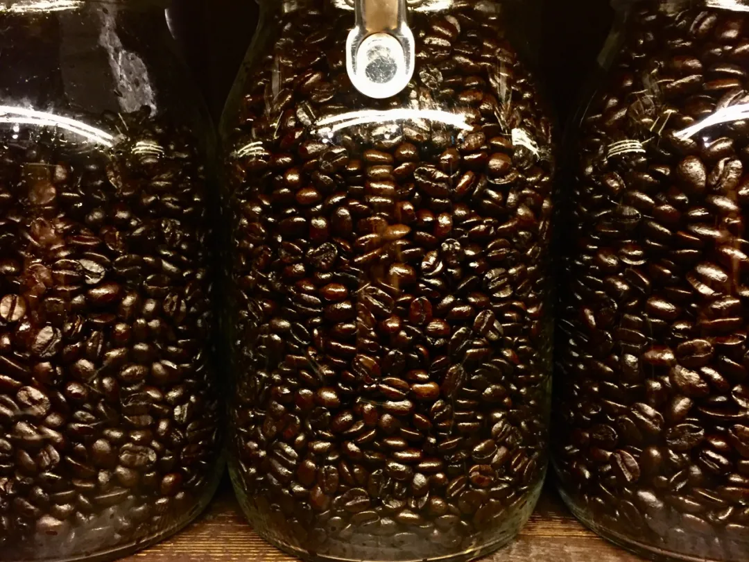 Is it normal for coffee beans to have oil on them? The impact of roast level and processing method + pour over brewing suggestions