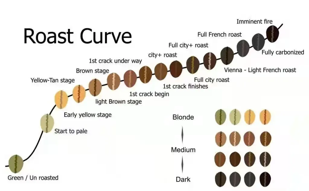 Coffee Roasting Yellowing Phase and First Crack Stage Identification Techniques: Cracking the Code to Underdeveloped and Astringent Flavors