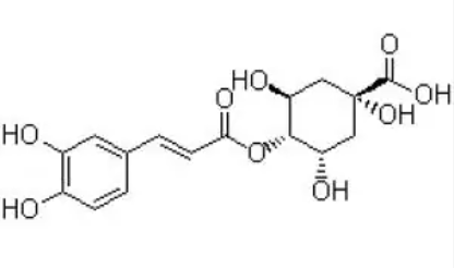 Analysis of Bitter and Astringent Tastes in Pour Over Coffee | Improving Greenness and Recommended High-Quality Beans