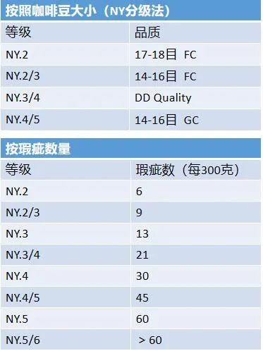 The Big Reveal of Green Coffee Bean Grading: A Quality Analysis from Kenya AA to Blue Mountain No. 1