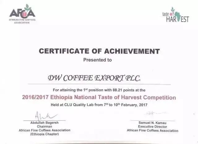 The Big Question About Kongou Coffee Beans' Origin: From the Brazil Mislabeling to Identifying True Origins and Varieties