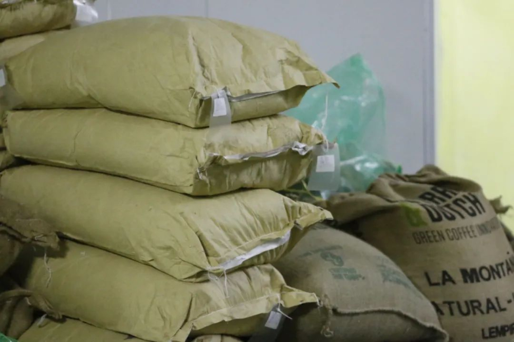 Is it normal for coffee to contain insect residues? Exploring the allowable insect limits in food regulations