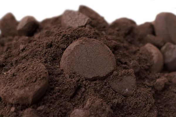 Can coffee grounds be transformed into chocolate? Japanese fermentation technology creates an eco-friendly new food sensation