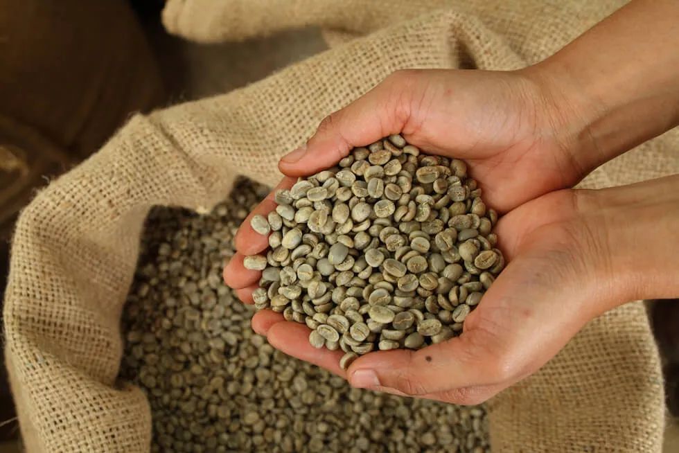 How to Choose Pour Over Coffee Beans? A Complete Guide to Flavor Profiles and Brewing Parameters of Seven Major Regional Budget Beans