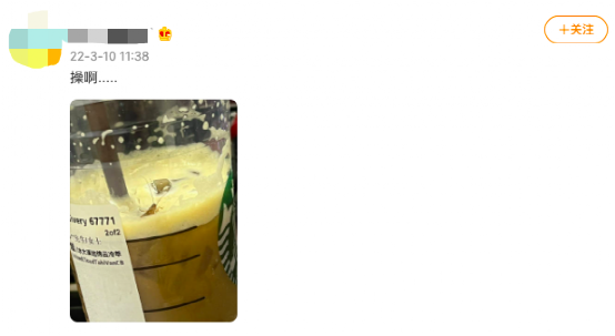 Full Analysis of the Starbucks Beverage Cockroach Incident: Truth, Investigation, and Food Safety Precautions
