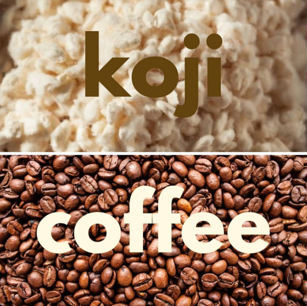 Can coffee grounds be transformed into chocolate? Japanese fermentation technology creates an eco-friendly new food sensation