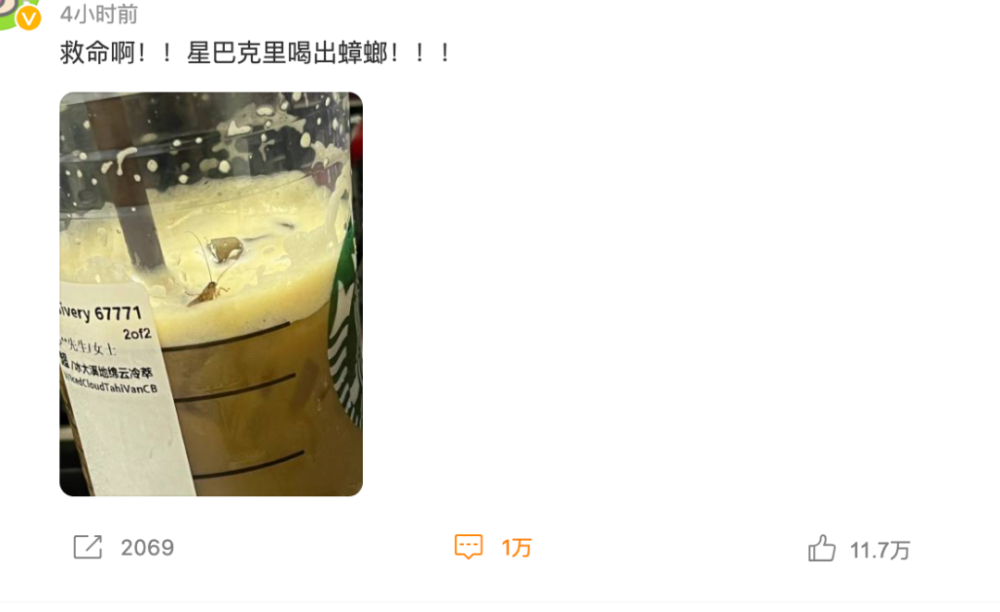 Full Analysis of the Starbucks Beverage Cockroach Incident: Truth, Investigation, and Food Safety Precautions