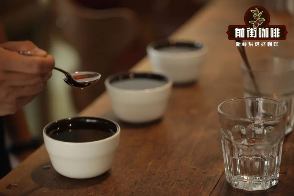Flavor Profile and Pour Over Brewing Guide for Panamanian Emerald Geisha: How to Choose Between Red and Green Label?