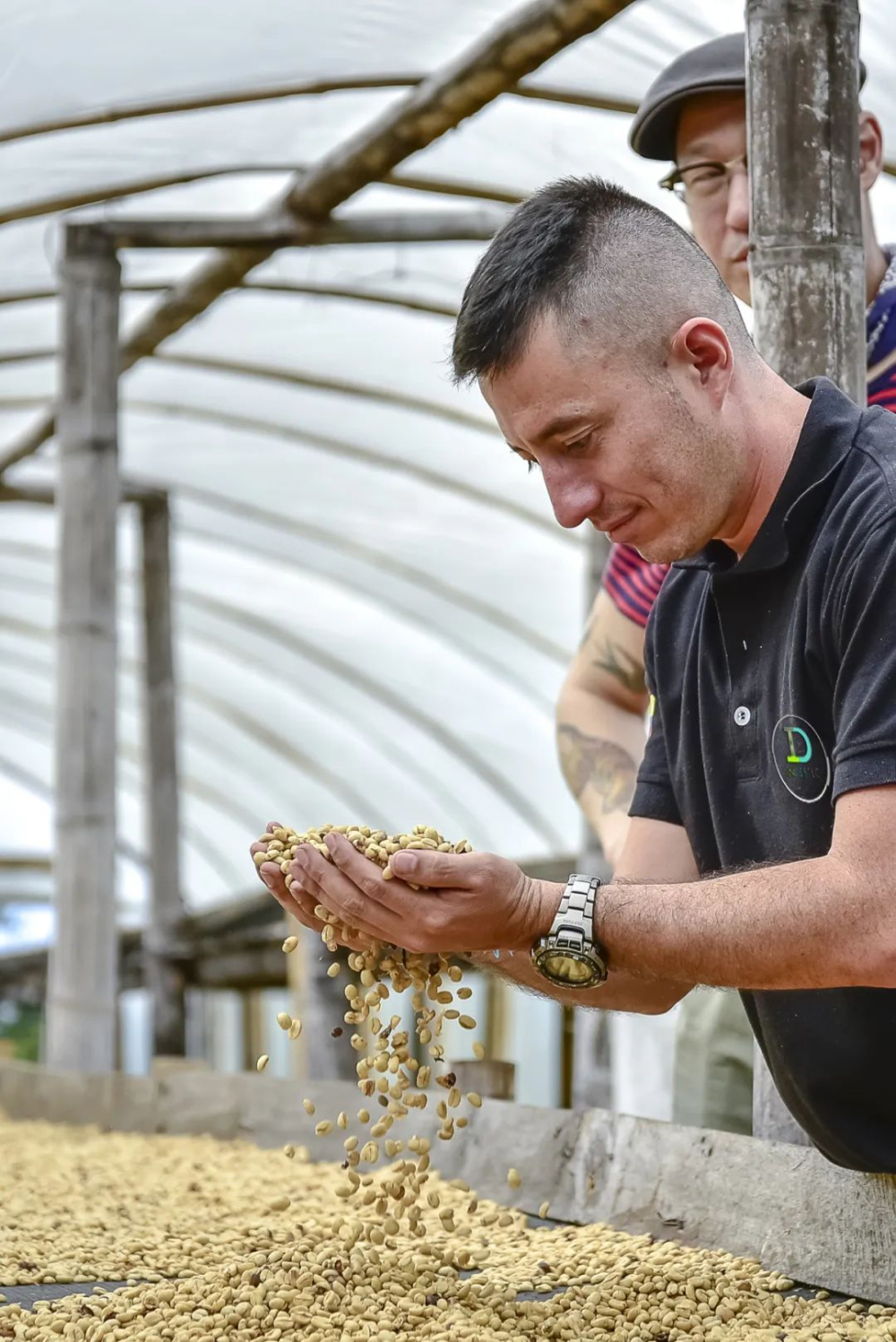 In-depth Analysis of Colombia Paradise Estate SOE Coffee Beans: A Practical Guide to Pour Over and Espresso Extraction