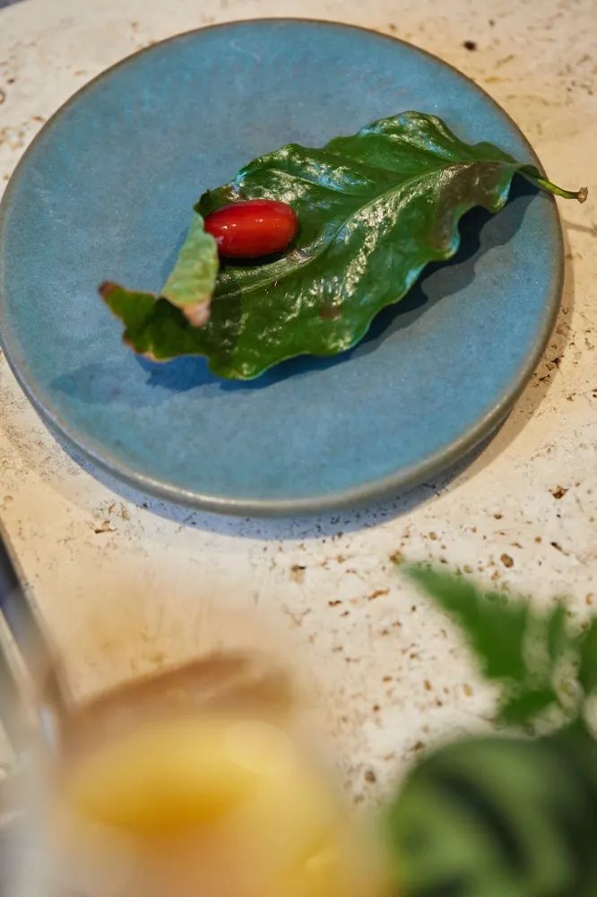 Starbucks Taiwan x Michelin Plate Recommended Restaurant | A Feast of Five Local Dishes and Creative Coffee