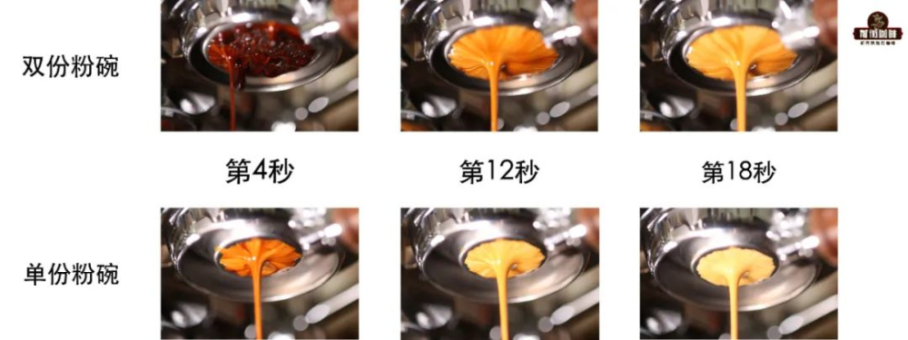 Espresso Extraction Parameters and Flavor Analysis: A Complete Guide to Dose, Time, and Tasting Techniques