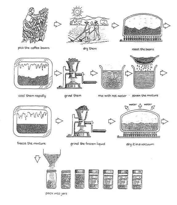 What’s the difference between freeze-dried coffee and instant coffee? Exploring flavor enhancement through processing evolution