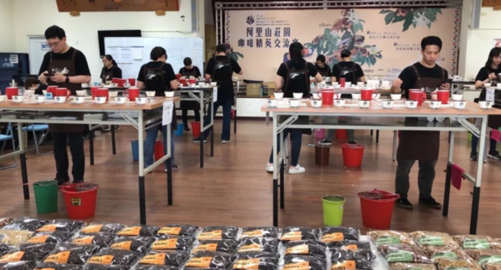 2022 Alishan Coffee Auction Records: Sun-Dried Beans Break 520,000 NTD – How Can Non-Geisha Surpass Top-Tier Geisha?