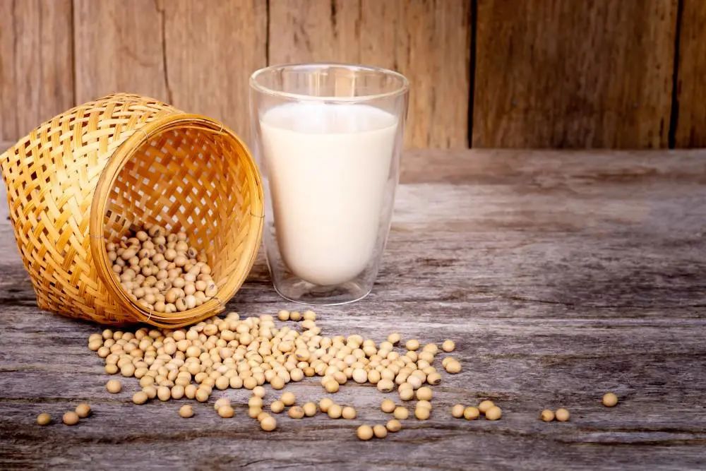How Does Oat Milk Alter Coffee Flavor? A Nutritional Comparison & Professional Competition Milk Guidelines