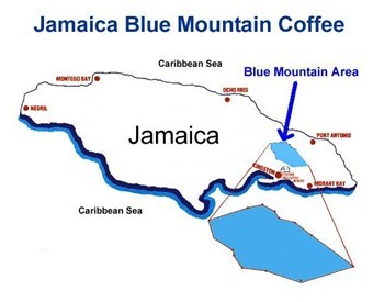 Complete Guide to Jamaican Blue Mountain No.1 Coffee Beans: Region, Clifton Estate, and Pour Over Parameters