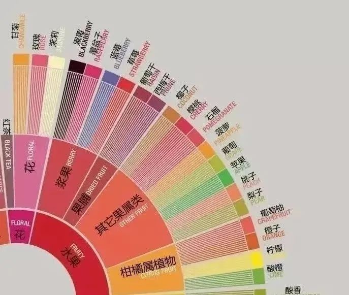 The Complete Guide to Using the SCA Coffee Taster’s Flavor Wheel: From Basic Interpretation to Advanced Application