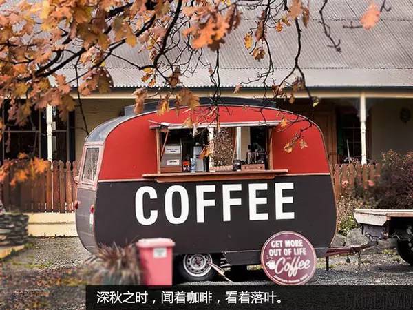 移动咖啡车命名与执照申请全攻略 合法运营关键解析