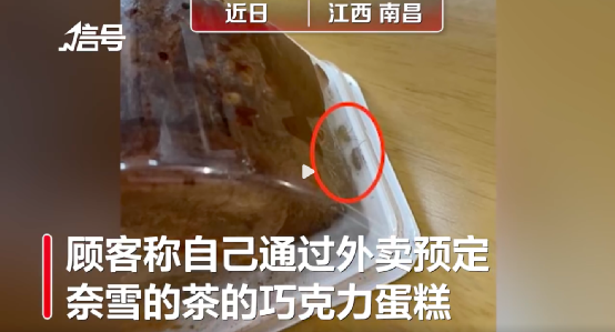 Insect found in delivered dessert? Analysis of Nayuki’s chocolate cake food safety incident and key steps for consumer rights protection
