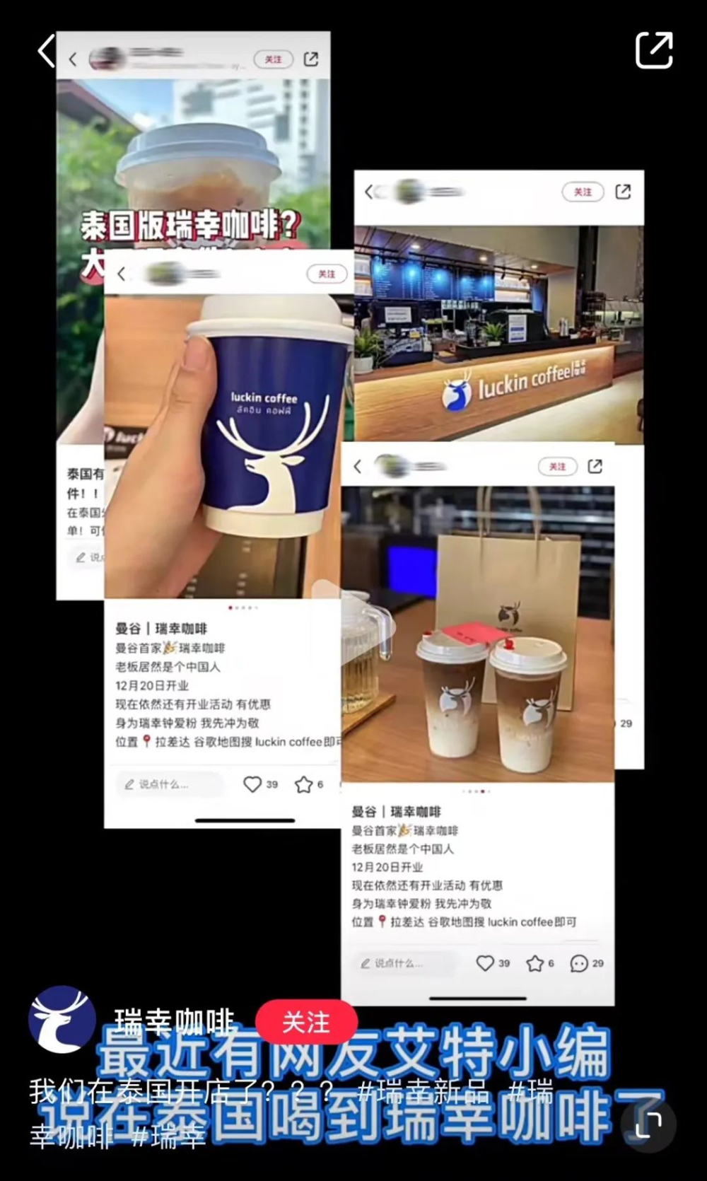 Luckin's Thai store is fake！Official reveals counterfeit truth and rights protection progress