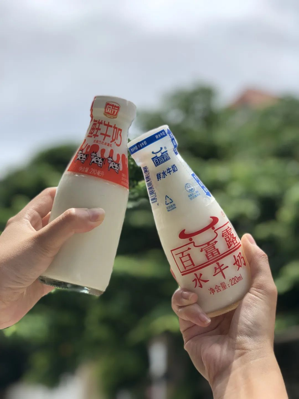Fresh Milk vs. Water Buffalo Milk in Coffee: A Full Analysis of Flavor Layers, Milk Foam Details, and Pairing Suggestions