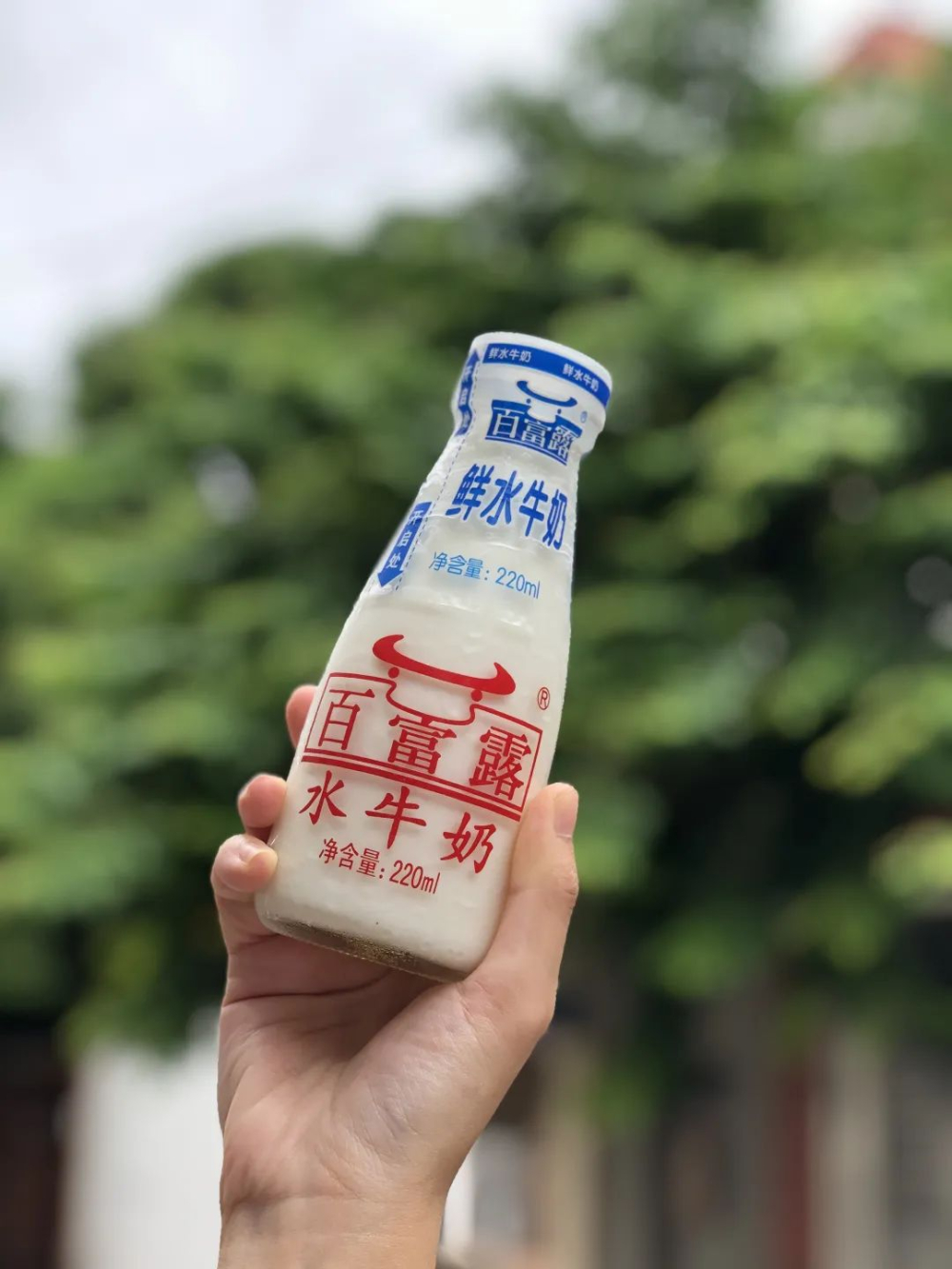 Fresh Milk vs. Water Buffalo Milk in Coffee: A Full Analysis of Flavor Layers, Milk Foam Details, and Pairing Suggestions