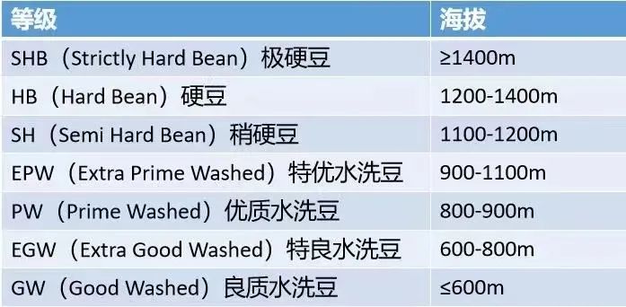 Unveiling the Grading of Ethiopian and Kenyan Coffee Beans: What’s the Difference Between AA, G1, and SHB?
