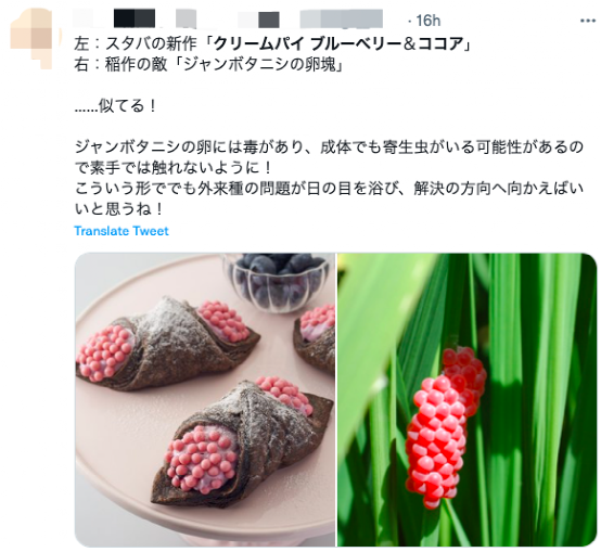 The new Starbucks Japan product sparks discussion with its design, as netizens exclaim it strikingly resembles apple snail eggs and the Ohmu from Nausicaä of the Valley of the Wind