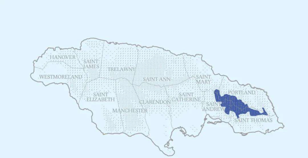 Jamaica Blue Mountain vs. Yirgacheffe: A Complete Analysis of Regional Flavors and Pour Over Parameters