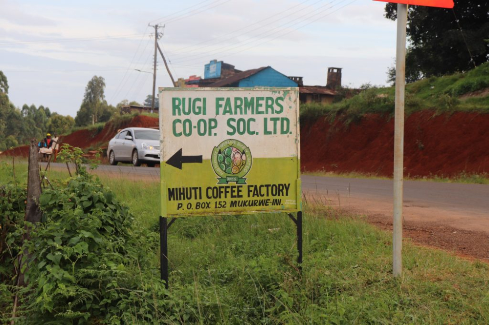 Kenya Nyeri Rugi Plamuyaa AA: Complete Guide to SL28/SL34 Varietal Characteristics and Pour Over Brewing