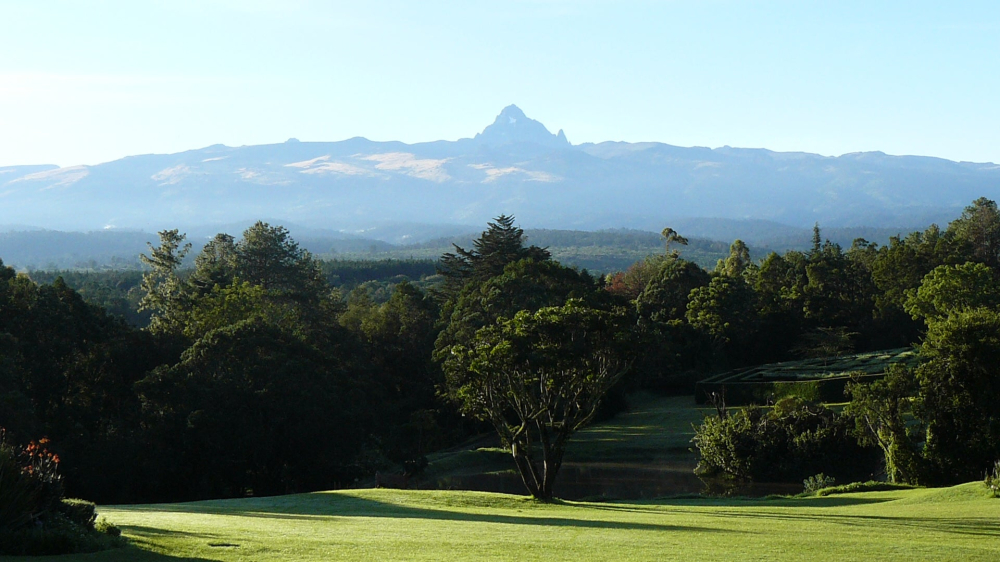 In-depth Analysis of Kenya Nyeri Dodomo Coffee: A Complete Guide to the Region, Processing Methods, and Pour Over Parameters