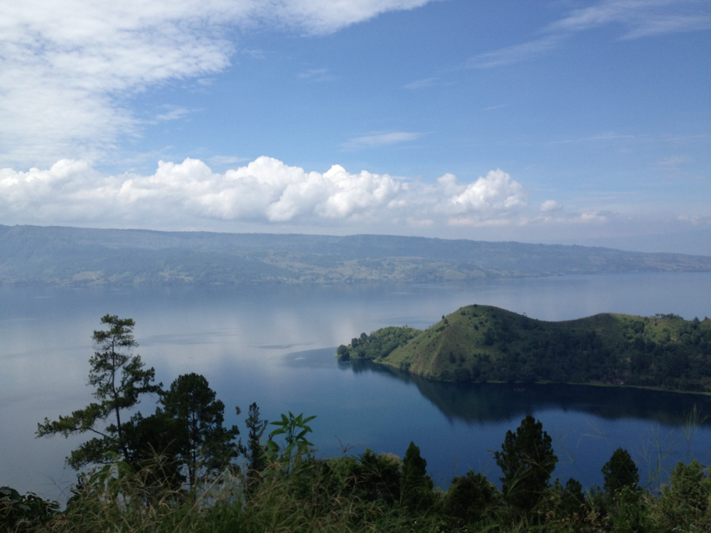 A Complete Guide to Indonesian Mandheling Coffee: Exploring the Four Major Regions, Processing Methods, and Brewing Parameters