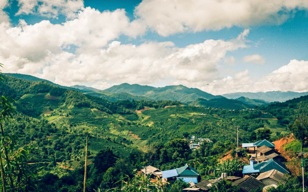 Analysis of the Flavour Profile of Yunnan Small-Grain Catimor Coffee | Planting History, Regional Characteristics, and Pour Over Recommendations