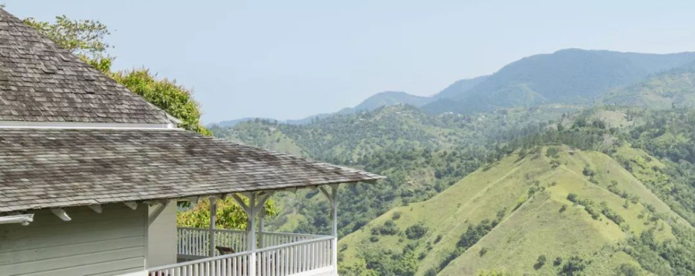 Unveiling the Flavors of Jamaican Blue Mountain No.1 Coffee | A Complete Guide to Washed Processing and Pour Over Brewing