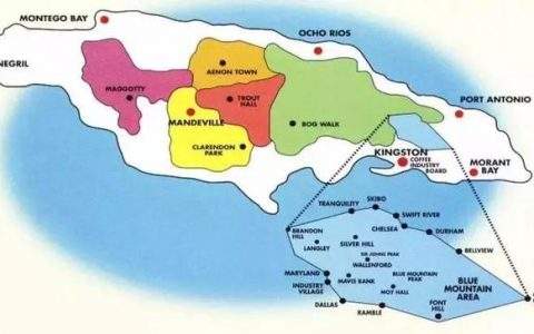Flavor Profile and Brewing Guide for Jamaican Blue Mountain Coffee | Who Is It For? Complete Guide to Grades and Growing Regions