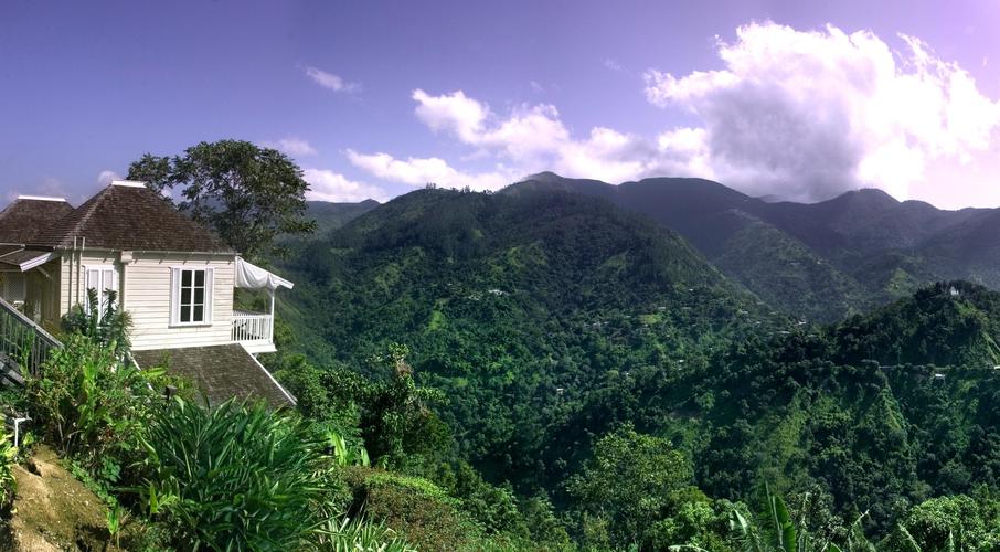 A Comprehensive Guide to Jamaican Blue Mountain Coffee Flavors | From Grade Classification to the Golden Parameters for Pour Over and Drip Bags