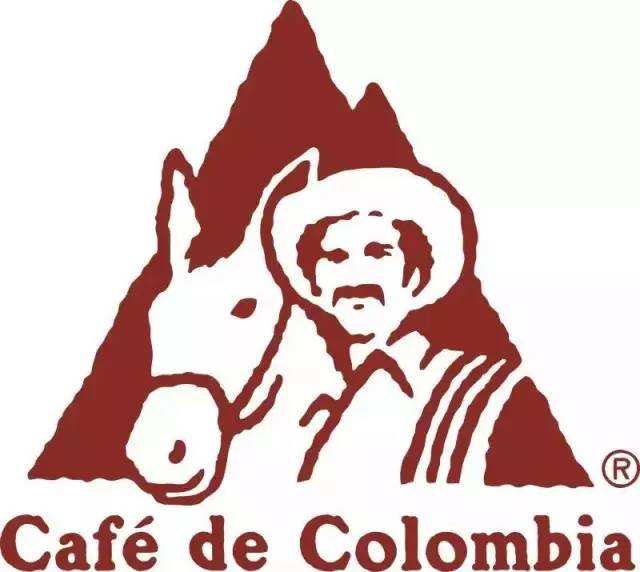 How to Choose Colombian Specialty Coffee? A Complete Guide to the Flavors of Huila Region and Pour Over Parameters