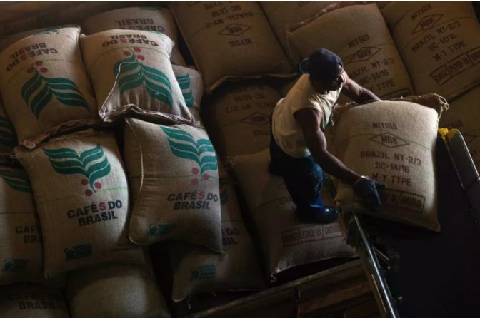 Unveiling the Flavors of Brazil's Three Major Coffee Regions: How to Choose Between Sul de Minas, São Paulo, and Cerrado?