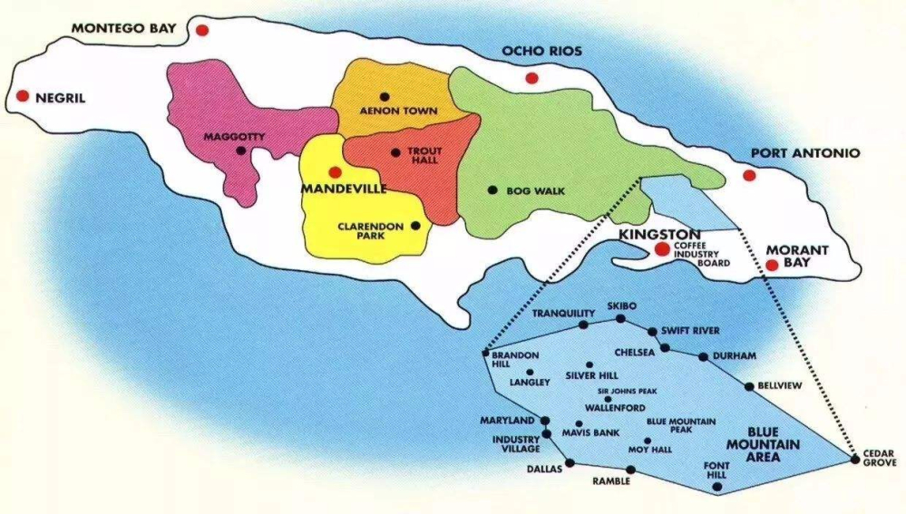 Complete Guide to Jamaican Blue Mountain Coffee: Region, Grades, Washed Process & Authenticity Check