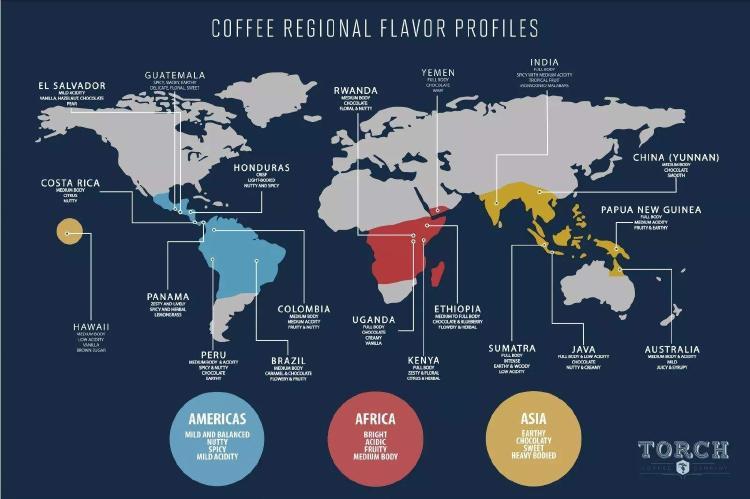 A Must-Read for Coffee Beginners: A Complete Guide to the Flavor Differences and Regional Characteristics of Arabica and Robusta