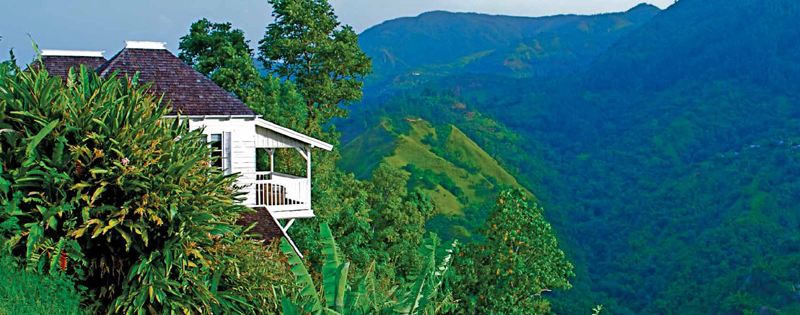 Complete Guide to Jamaican Blue Mountain Coffee: Region, Grades, Washed Process & Authenticity Check